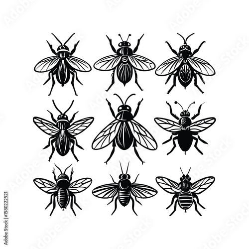 Collection of Black Fly Vector Silhouettes – Detailed Flying Insect Clipart with Wings and Body Patterns for Pest Control, Nature, and Biology Design Projects