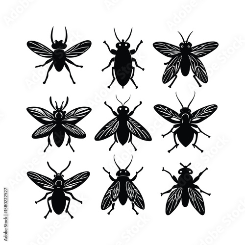 Black Fly and Insect Silhouette Vector Collection – Detailed Pest Bug Clipart for Nature, Science, Biology, and Entomology Design Projects
