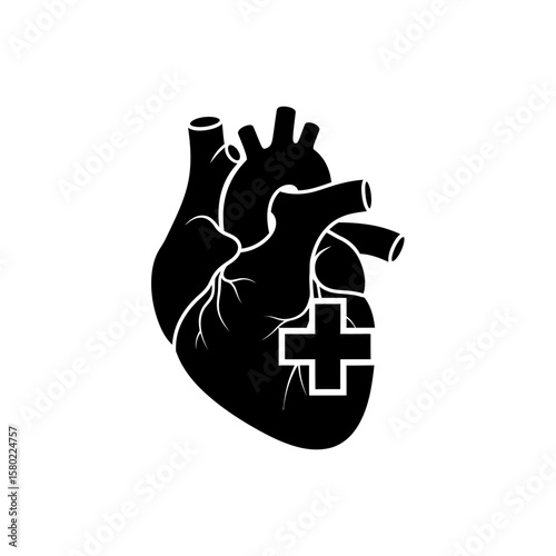 Heart - Medical Concept & Cardiovascular Health Silhouette