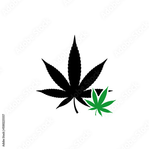 Fresh Cannabis Leaves Macro Shot - Natural & Medicinal Plant