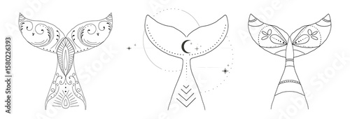 Whale tail with water splash circles stars and moon line sketch minimal geometric tattoo set. Mermaid or ocean mammal with waves vintage.