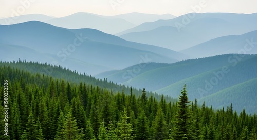 Layers of blue mountains rise above a green forest in a serene scene