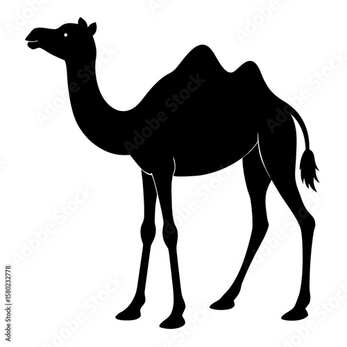 camel, animal, desert,