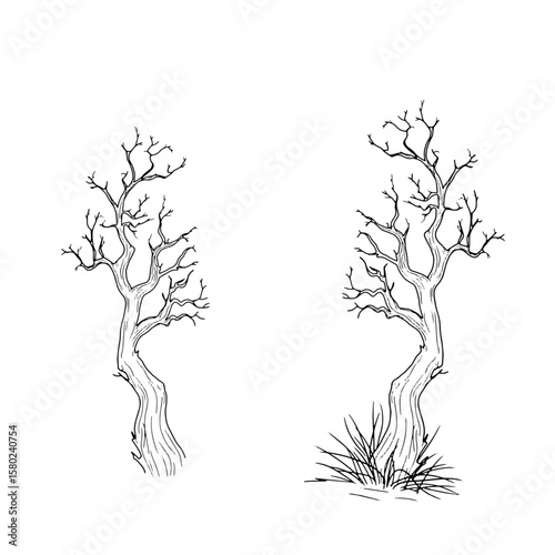 Old gnarled tree from dark forest thicket, black and white sketch in simple style. Vector illustration. Tree in thick grass, isolated on white background. Halloween, autumn, magic and witchcraft theme