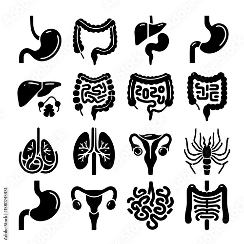 se of Digestive system vectors icons