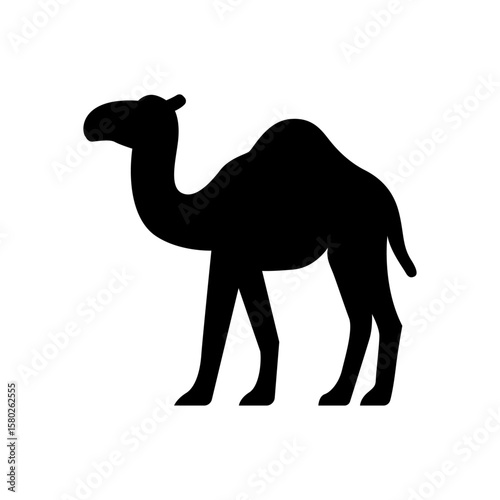 camel icon 