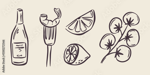 Whimsical hand drawn sea food illustrations in trendy whimsical style. Perfect doodle for quirky italian wedding holiday, poster, dinner and bar menu, bachelorette party, birthday invitation, sign