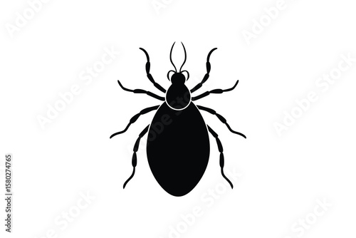 Detailed Black Tick Illustration on White Background Featuring a Silhouette Style Ideal for Educational and Medical Content Vector silhouette