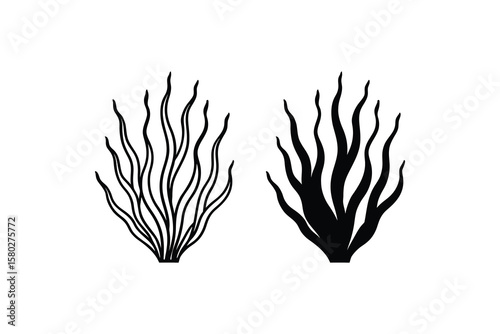 Seaweed Vector Illustration with Outline and Solid Fill Isolated on White Background Featuring a Clean Silhouette Style silhouette