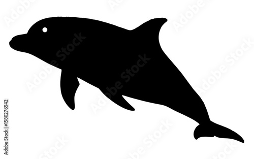 Beautiful and attractive silhouette of majestic dolphin isolated on white background