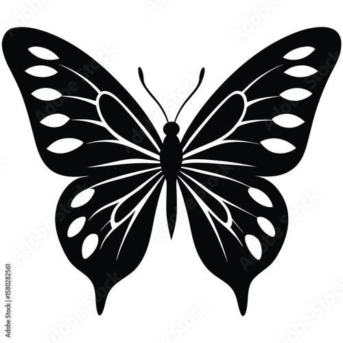 Black Butterfly Silhouette with Intricate Wing Designs and Antennas