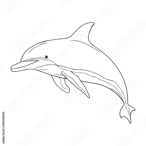 Cute Cartoon Wholphin outlined for coloring book isolated on a white background.