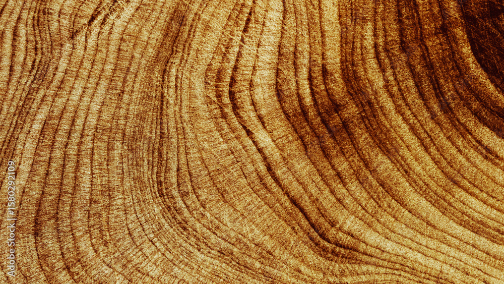 Fototapeta premium Macro banner of wood timber of juniper tree rings, natural geometric pattern, abstract nature background. Natural wooden organic textures, monochrome brown beige gradient color, earthy tones, above