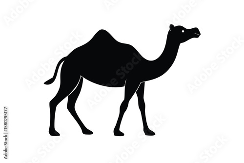camel walking vector icon