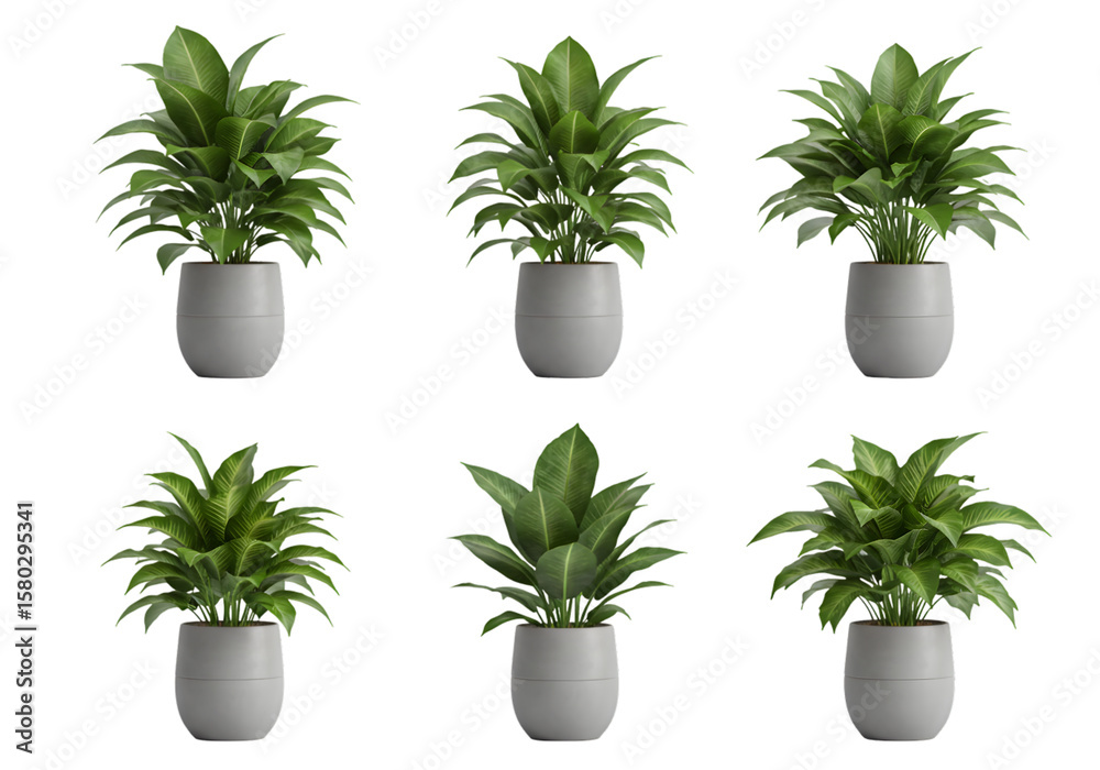 Fototapeta premium Isolated Potted Green Plants Transparent Background Decoration Arrangement