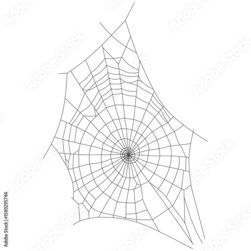 Asymmetrical Spider Web Isolated on White Background – Hand Drawn Illustration eps  4