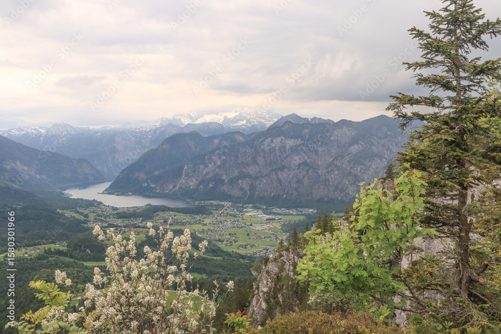 Obraz premium Blick vom Predigstuhl in Richtung Hallstätter See und Dachstein