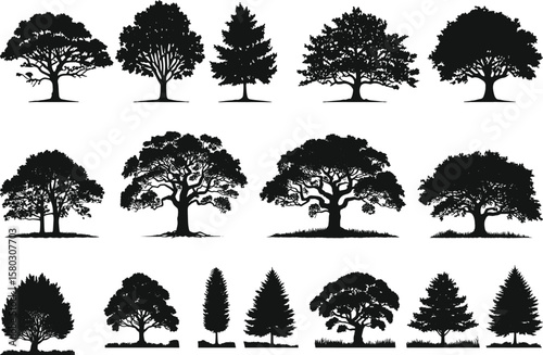 Collection of diverse tree silhouettes in illustration isolated on a white background for design