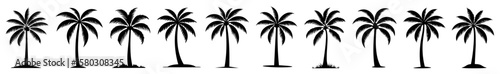 Coconut Tree Silhouettes Collection In Various Shapes And Angles Representing Tropical Iconography With Minimal Flat Black Vector Design Isolated On White Background