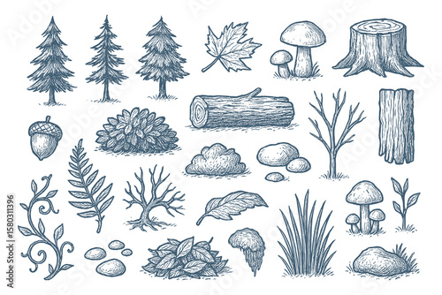 Hand Drawn Forest Elements Set: Trees, Mushrooms, Leaves, Stones, Branches Sketch