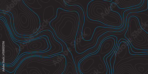  A dark background with intricate, flowing blue topographic lines creating an abstract and textured pattern.