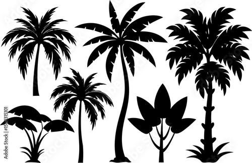 6 Exotic Tropical Tree Silhouette Vector Set