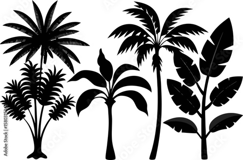 6 Exotic Tropical Tree Silhouette Vector Set