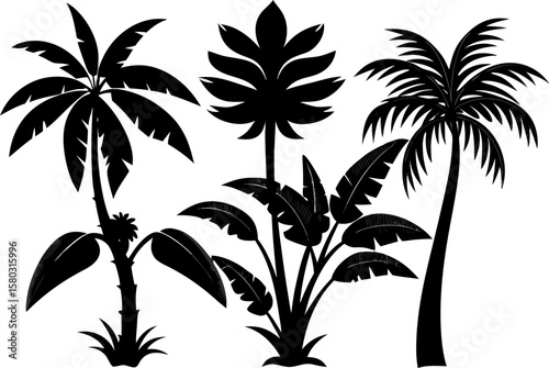 6 Exotic Tropical Tree Silhouette Vector Set