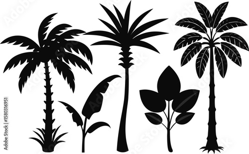 6 Exotic Tropical Tree Silhouette Vector Set