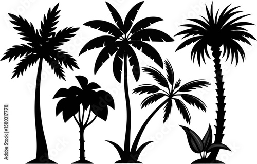 6 Exotic Tropical Tree Silhouette Vector Set