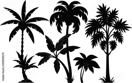 6 Exotic Tropical Tree Silhouette Vector Set