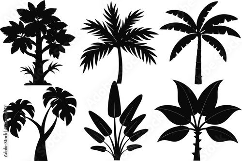 6 Exotic Tropical Tree Silhouette Vector Set