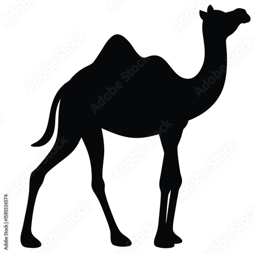 Bactrian Camel Silhouette Standing Tall, Wildlife Illustration Featuring Two Humps on White