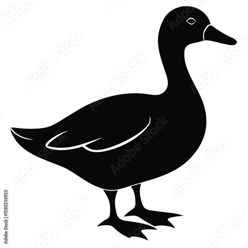 Black Silhouette of Standing Duck with Detailed Feet on White Background