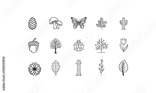 Pinecone mushroom butterfly leaf cactus acorn tree ladybug tulip flower oak branch vector