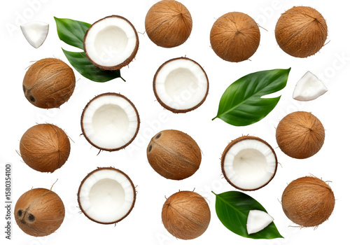 Isolated Background of Fresh Coconuts with Green Leaves on Transparent