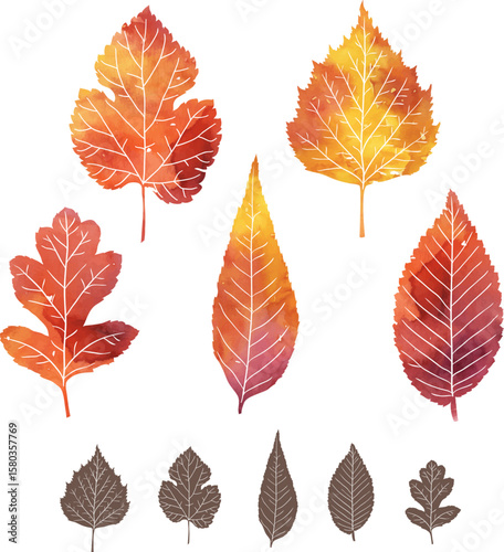 Autumn leaves collection. Vector colorful foliage with watercolor texture. Isolated decoration elements in orange colors
