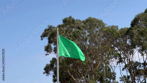 A vibrant green flag waves against a clear blue sky, with the tops of tall eucalyptus trees visible in the background