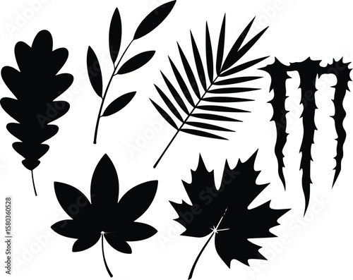 Silhouette Collection Oak, Maple, Palm, and More Leaves