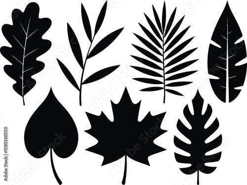Collection of Black and White Leaf Silhouettes Oak, Maple, Palm, and More
