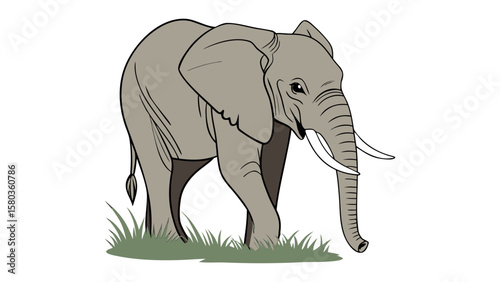 A stylized illustration of a large gray elephant with tusks walking on grass