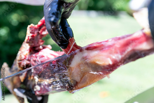 Wallpaper Mural animal, jamón, jamón ibérico, crudo, salado, fresco, exquisito, rojo, rico, sabroso, exquisito, delicioso, carne, alimento, cocción, cena, macro, zoom, alimentación, comida, salubre, cerdo, almuerzo Torontodigital.ca