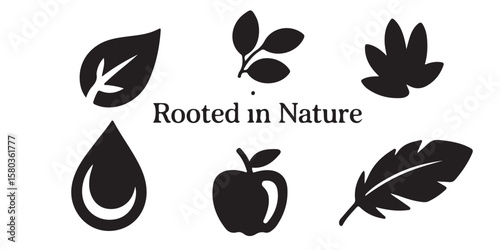 Black and white nature elements including leaves water drop apple and feather with text in the center