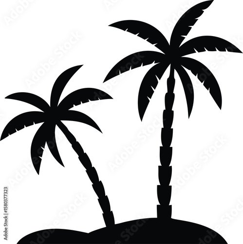  coconut trees with white background