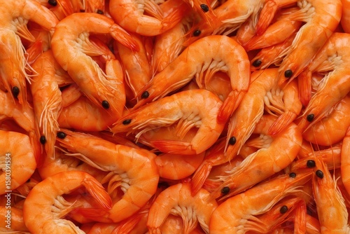 Close-up shot of numerous boiled shrimp in macro view