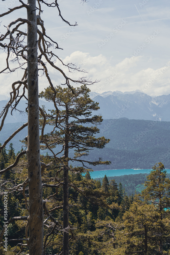 Obraz premium A breathtaking panoramic view from the Herzogstand summit in the Bavarian Alps, overlooking the turquoise waters of Walchensee and layers of mountain peaks stretching into the distance.