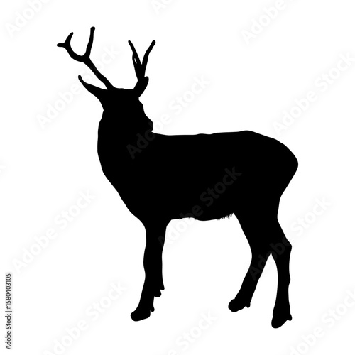 Silhouette of Reindeer with Antlers