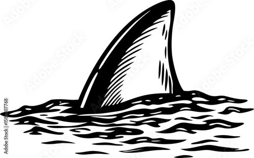 Shark fin rising above ocean surface dangerous predator, water ripple, marine wildlife threat, sea danger symbol