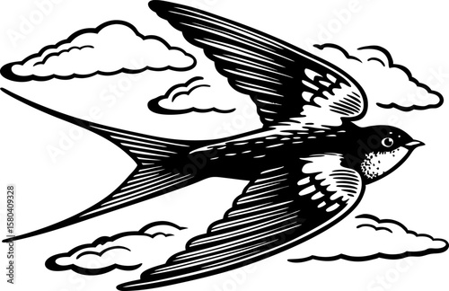 Swallow bird in flight with clouds monochrome vintage illustration of swift bird soaring, detailed line art wildlife