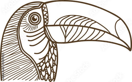 Toucan head illustration monochrome line drawing of exotic bird, tropical wildlife, beak closeup sketch